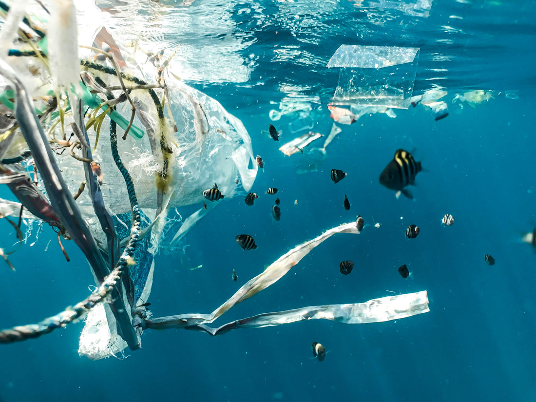 Kaip plastikas kenkia mūsų aplinkai